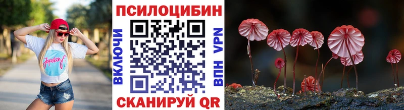 Купить где  Кушва  Псилоцибиновые грибы Cubensis 